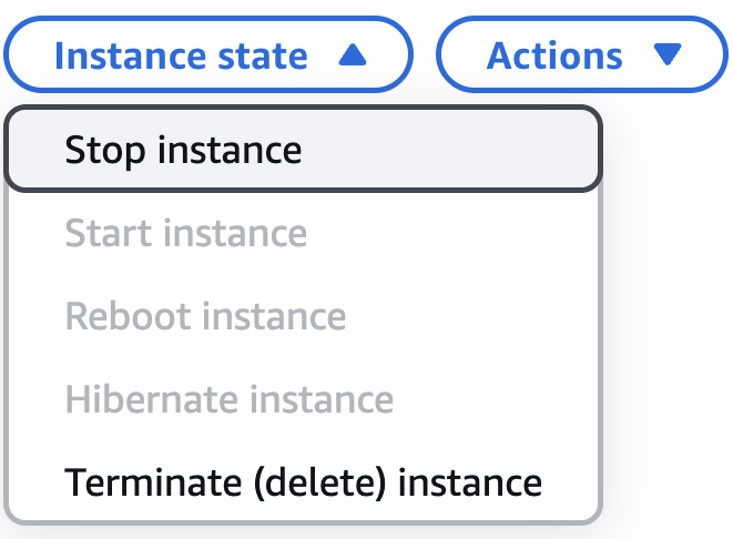 instance-state